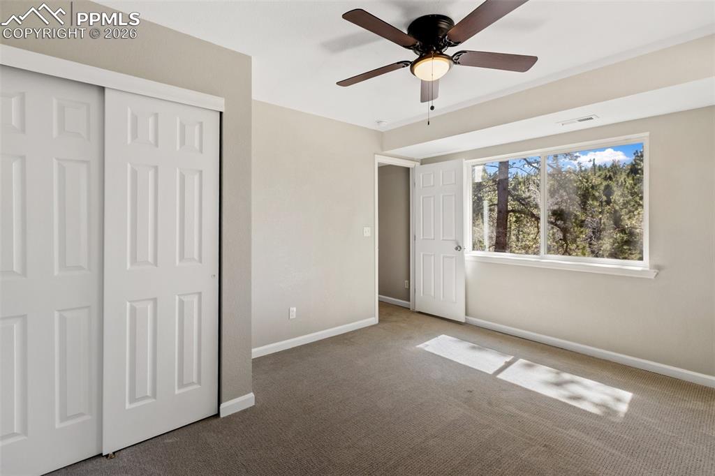 18 Mt Powderhorn Road Florissant, CO 80816 - Photo 30 of 38