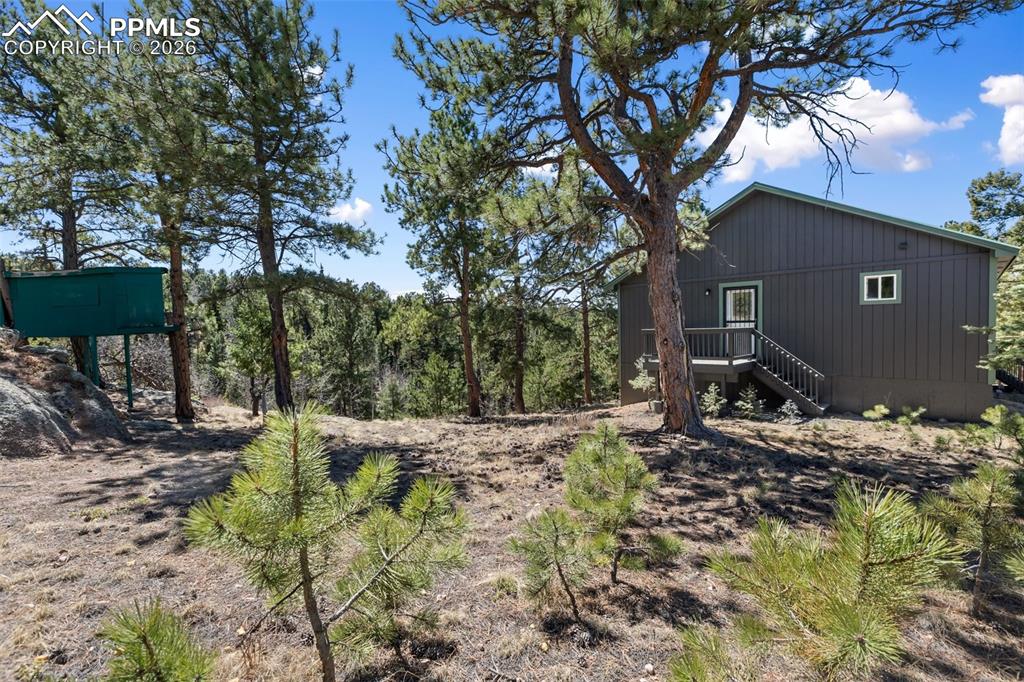 18 Mt Powderhorn Road Florissant, CO 80816 - Photo 37 of 38