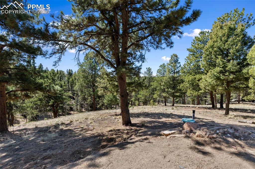 18 Mt Powderhorn Road Florissant, CO 80816 - Photo 5 of 38