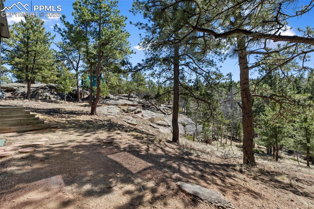 18 Mt Powderhorn Road Florissant, CO 80816 - Photo 6 of 38