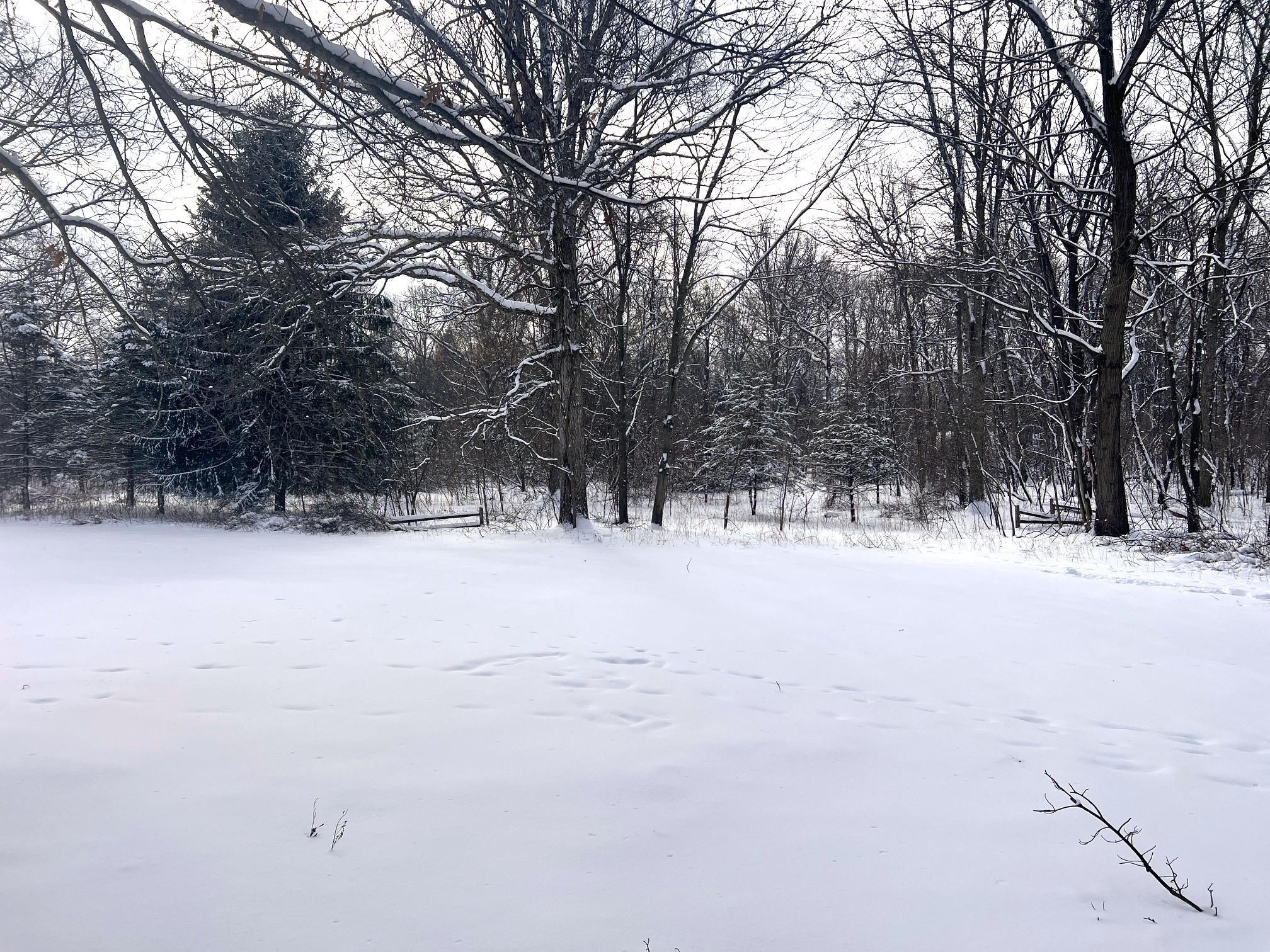 4751 West Bath Road Perry, MI 48872 - Photo 23 of 25