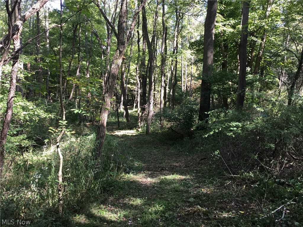 Stony Point Road Dover, OH 44622 - Photo 4 of 19 Gallery Image 4