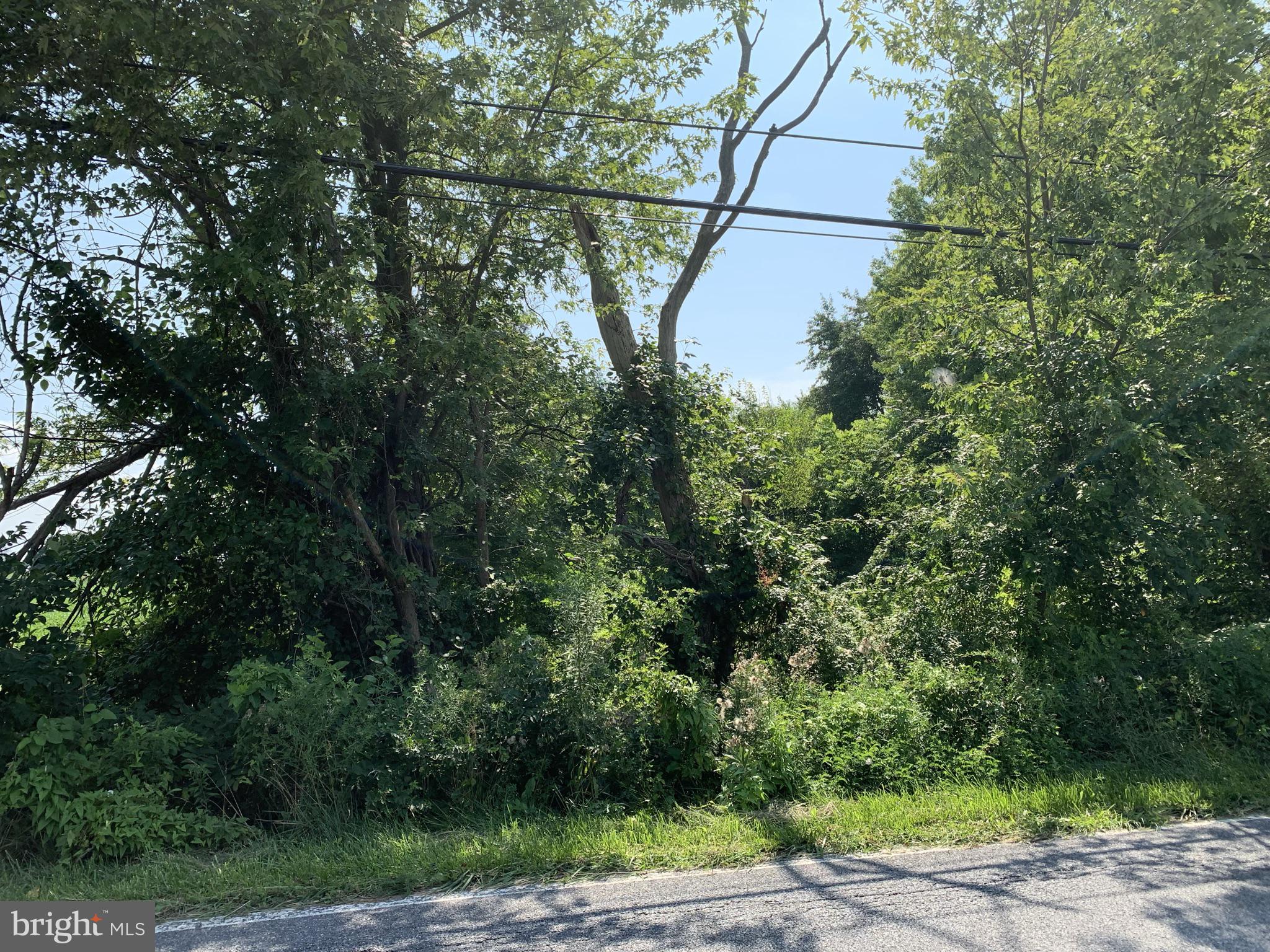120 Trevanion Road Taneytown, MD 21787 - Photo 1 of 3 Great location Near schools and shopping