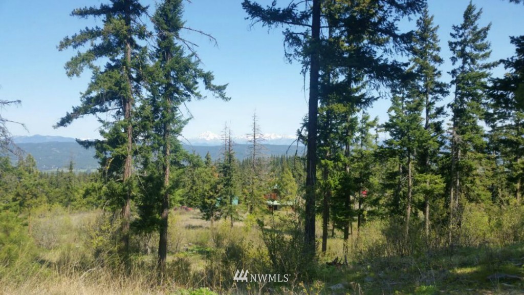 5 Palouse Road Cle Elum, WA 98922 - Photo 5 of 10 Gallery Image 5
