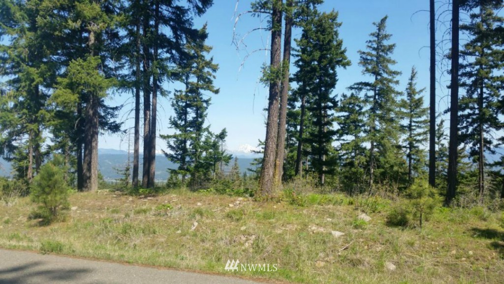5 Palouse Road Cle Elum, WA 98922 - Photo 10 of 10 Gallery Image 10
