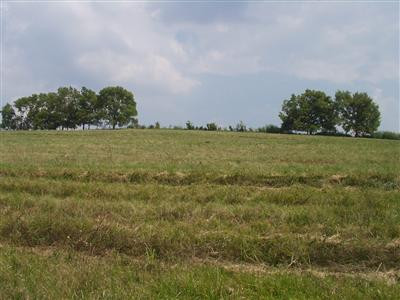 0 Roseberry Road Carlisle, KY 40311 - Photo 3 of 5 Photo 3