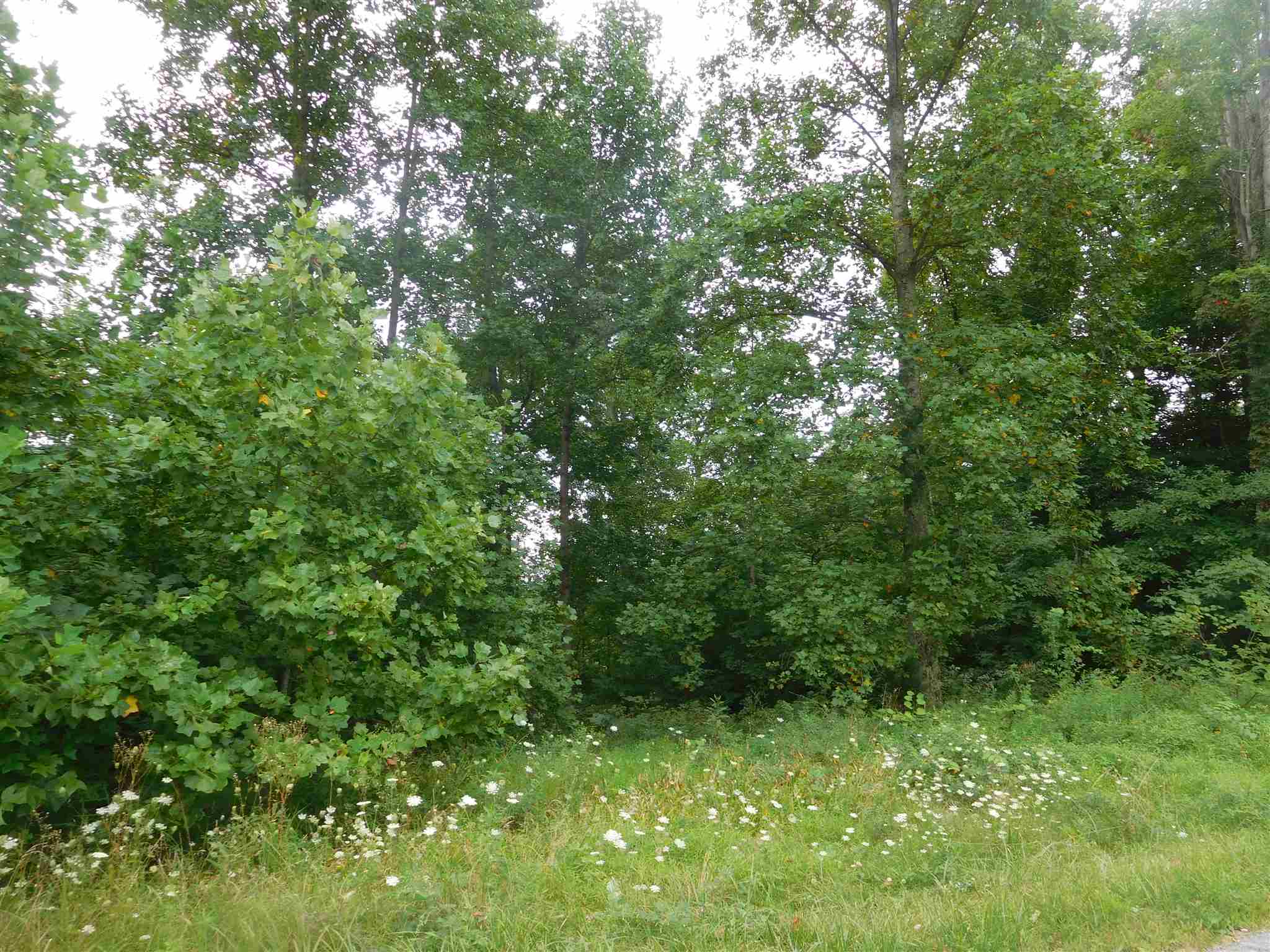 7314 East Hurst Road Pekin, IN 47165 - Photo 7 of 10