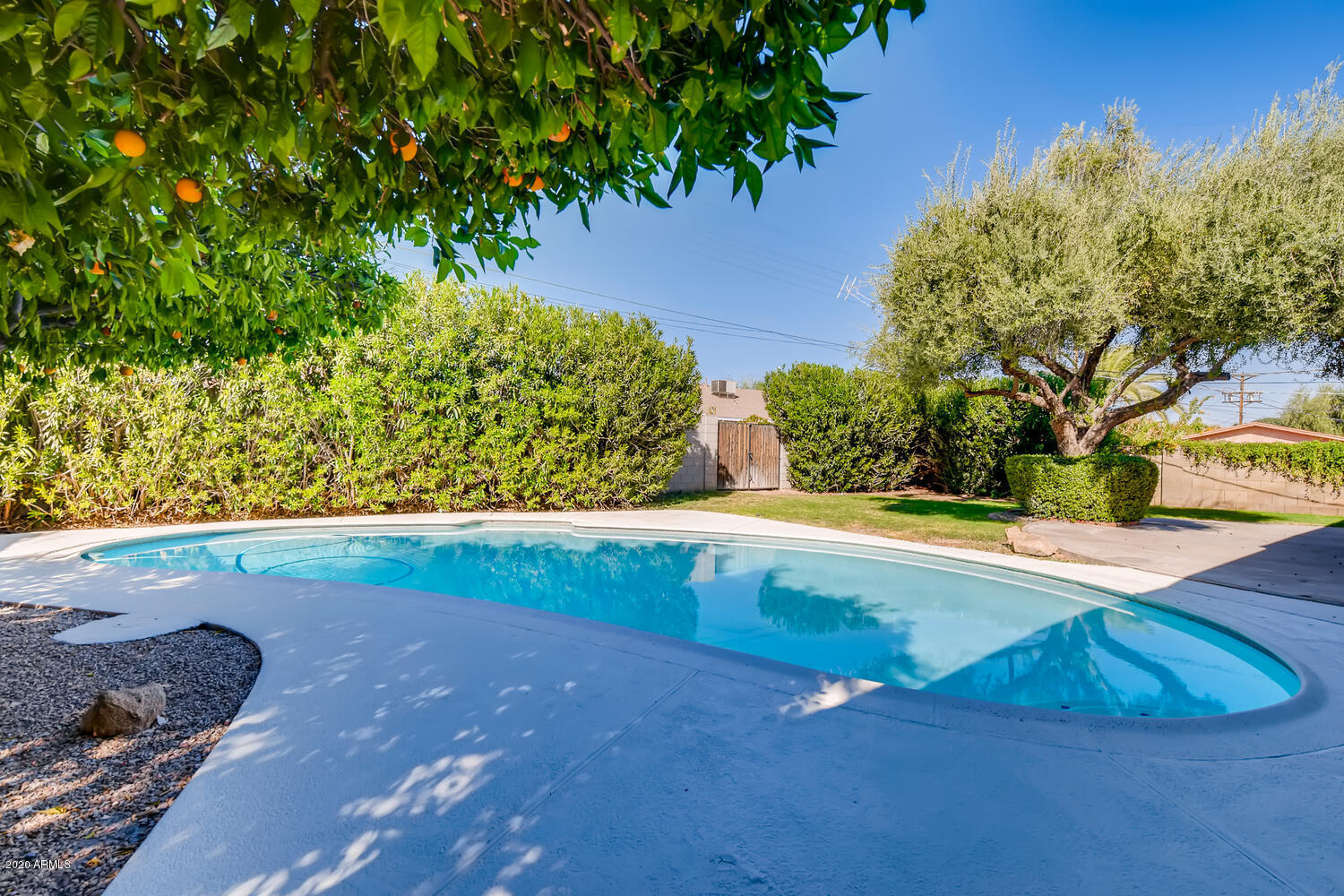 6816 East Granada Road Scottsdale, AZ 85257 - Photo 17 of 27 Backyard 3
