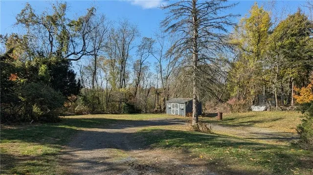a view of yard with tree