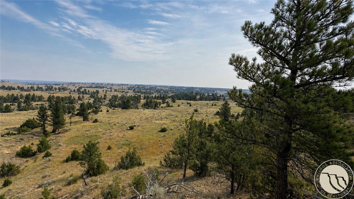 110 Snowflake Road Roundup, MT 59072 - Photo 14 of 29 Gallery Image 14