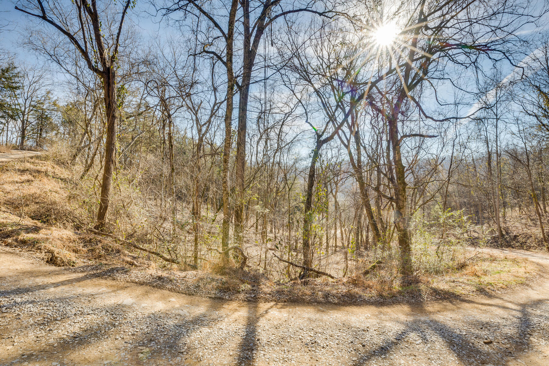 Tbd Moore Hollow Road, Unit 6 Newport, TN 37821 - Photo 3 of 19 103