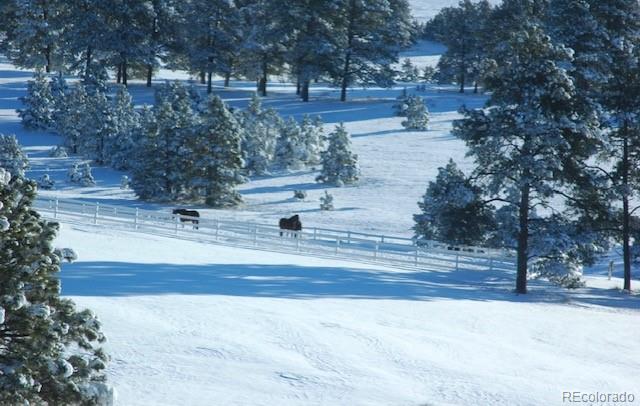 40273 County Road 13 Elizabeth, CO 80107 - Photo 17 of 40