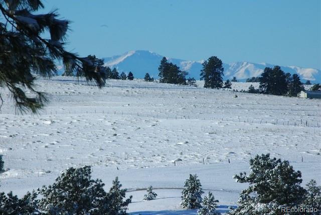 40273 County Road 13 Elizabeth, CO 80107 - Photo 19 of 40 a view of dirt field and trees