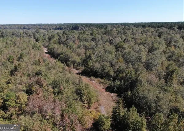 a view of a bunch of trees and bushes