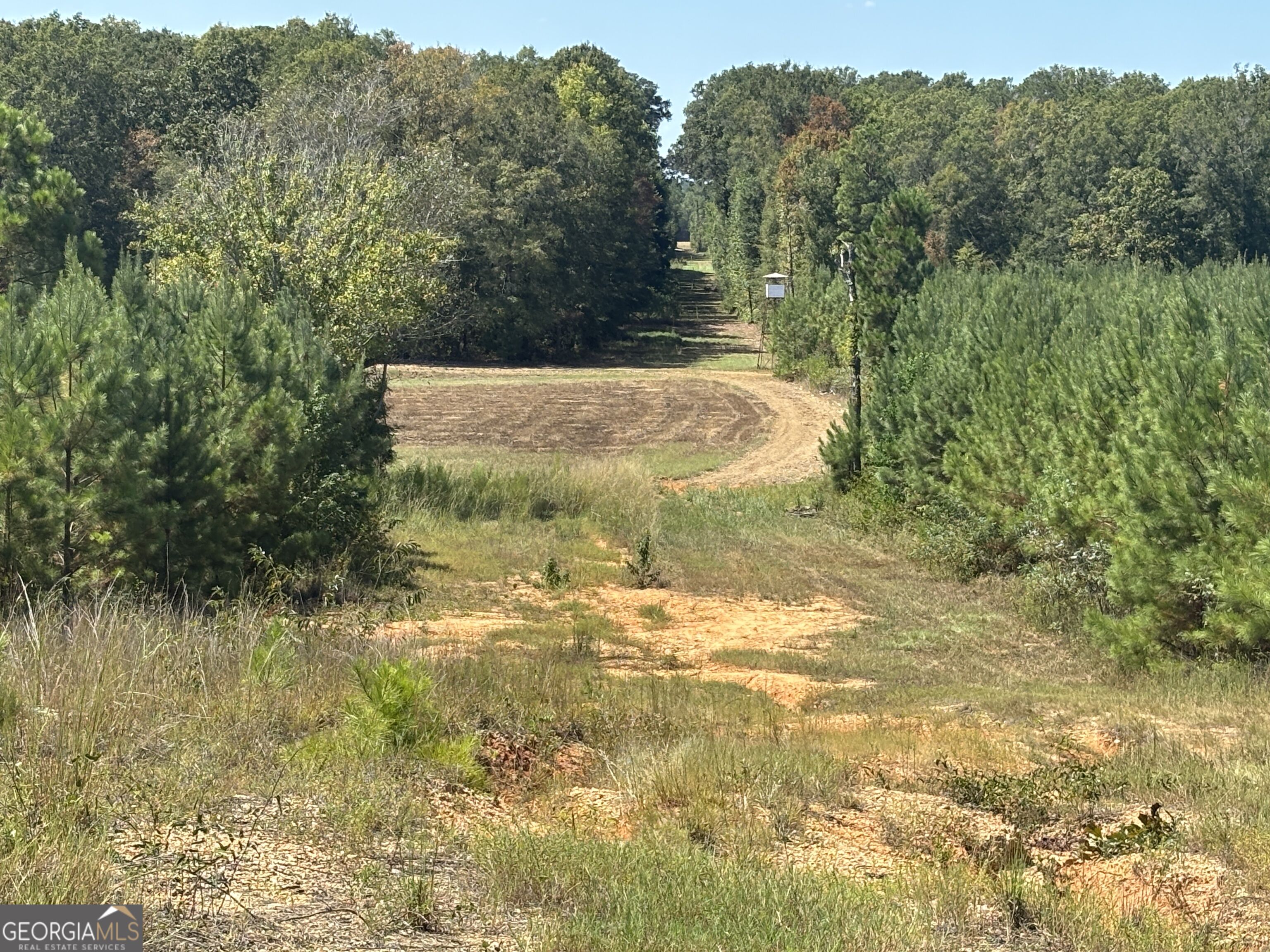 9390 Hopewell Road Lizella, GA 31052 - Photo 14 of 32 Gallery Image 14