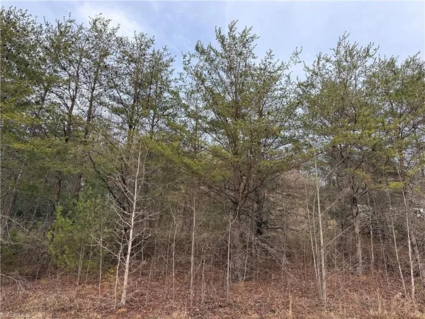 $64,900 | Tbd Mt Zion Road, Ferguson, NC 28624