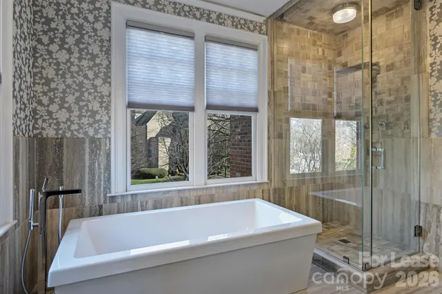 a bathroom with a bath tub and a shower