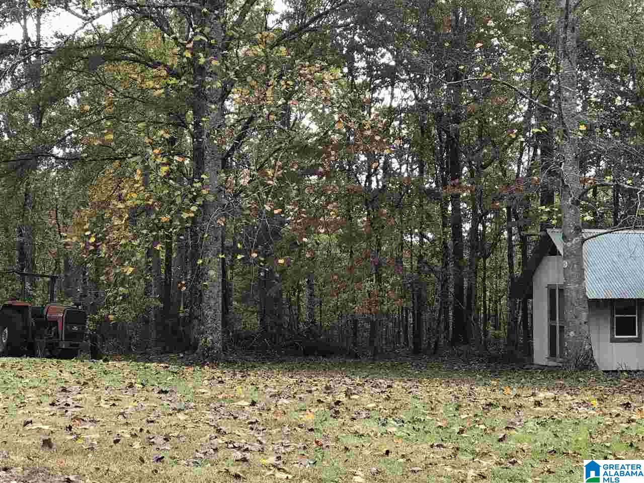 626 Smith Road Oneonta, AL 35121 - Photo 26 of 47