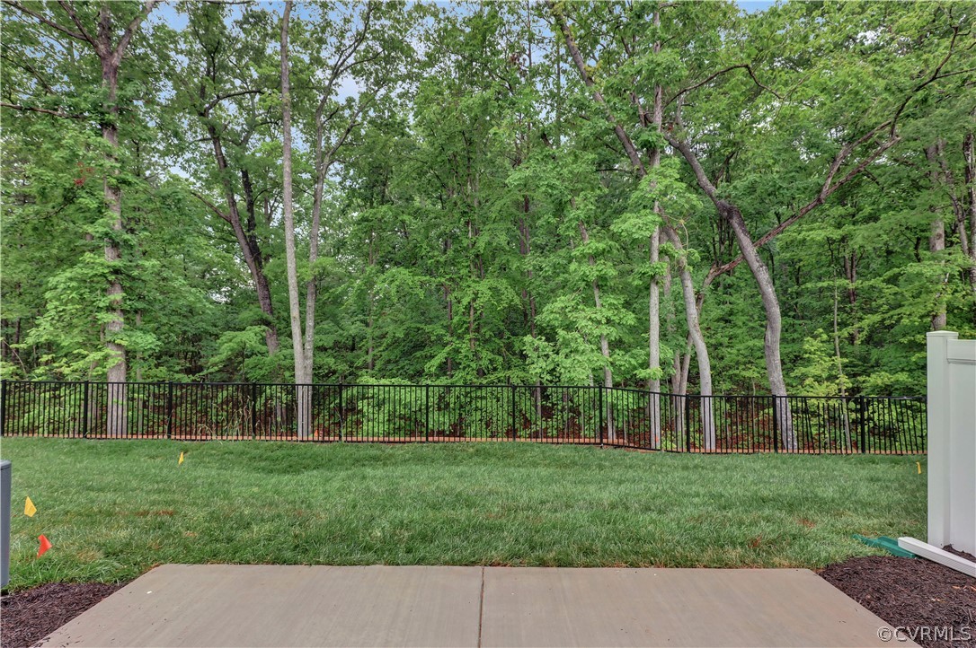 4208 Lind Lane Midlothian, VA 23112 - Photo 24 of 34 a view of a yard with plants and large trees