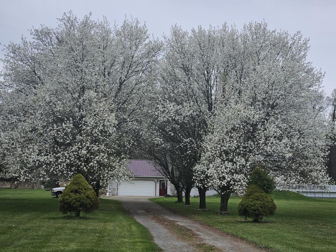 832 Clarendon Road Quincy, MI 49082 - Photo 26 of 29 image000002(19)