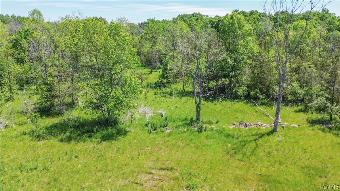 0 Middle Road Dexter, NY 13634 - Photo 12 of 23