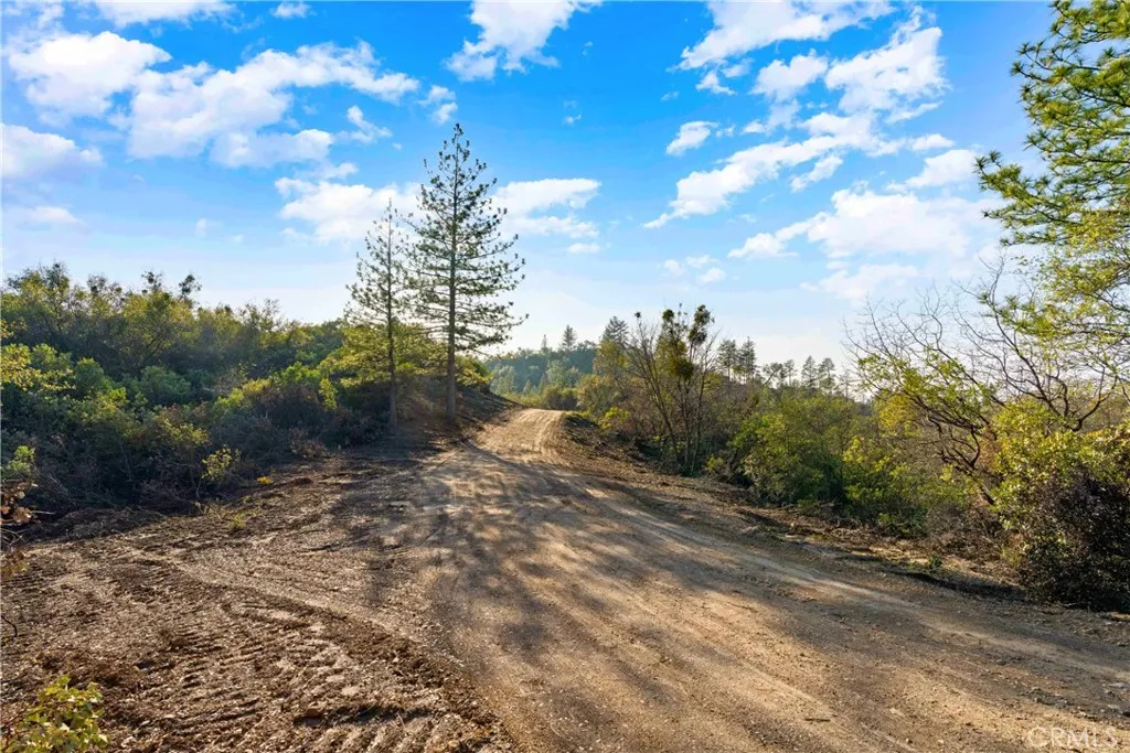 1 Ridge View Drive Sutter Creek, CA 95685 - Photo 13 of 25 a view of a road with trees in the background