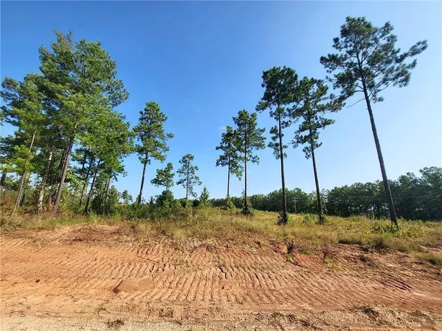 $24,500 | 0 Hwy 117 Highway, Natchitoches, LA 71457