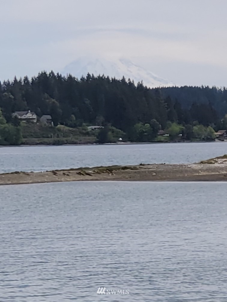 7490 East Grapeview Loop Road Allyn, WA 98524 - Photo 7 of 36 Gallery Image 7