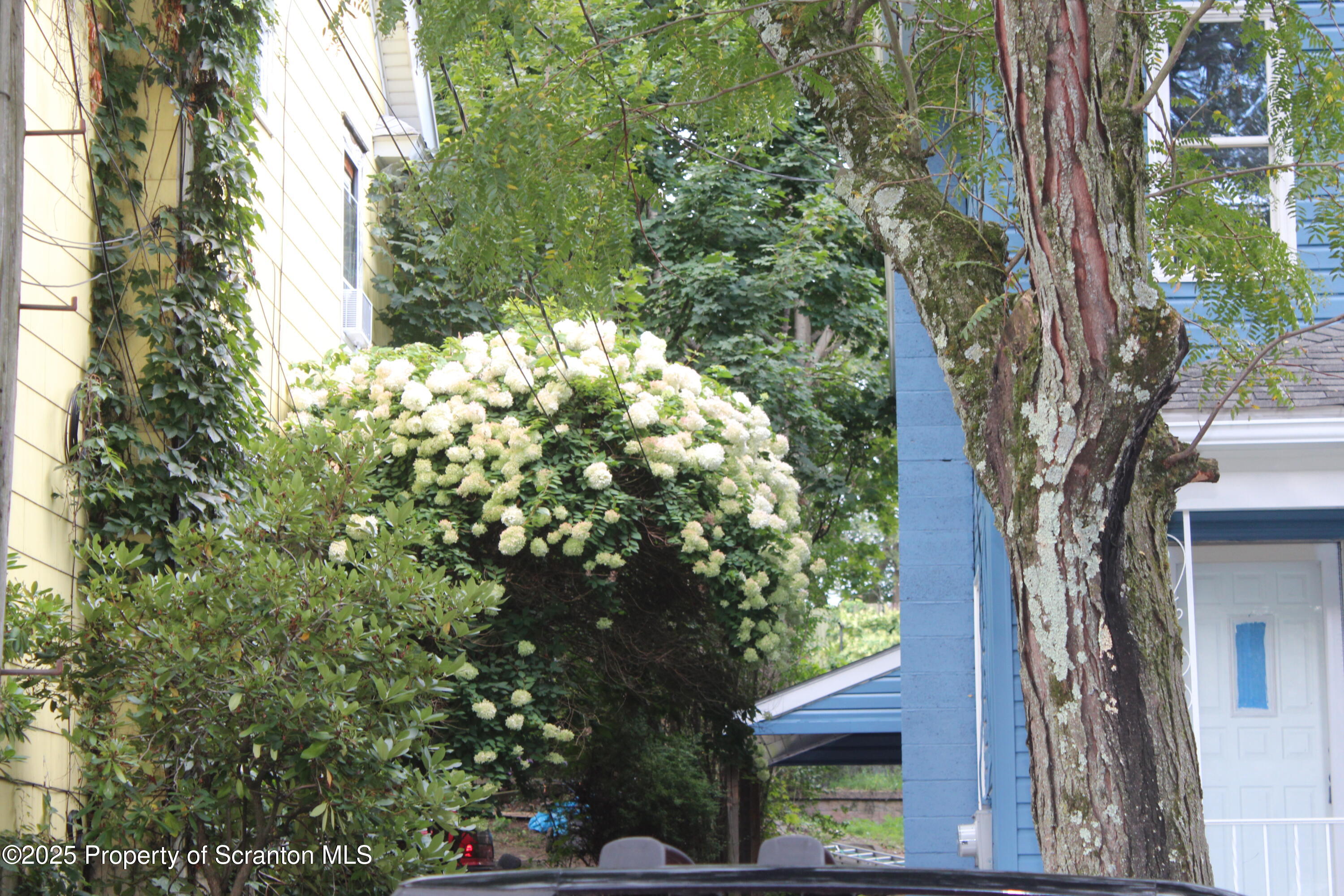 333 Spring Street Scranton, PA 18508 - Photo 2 of 43 a view of a bird bath