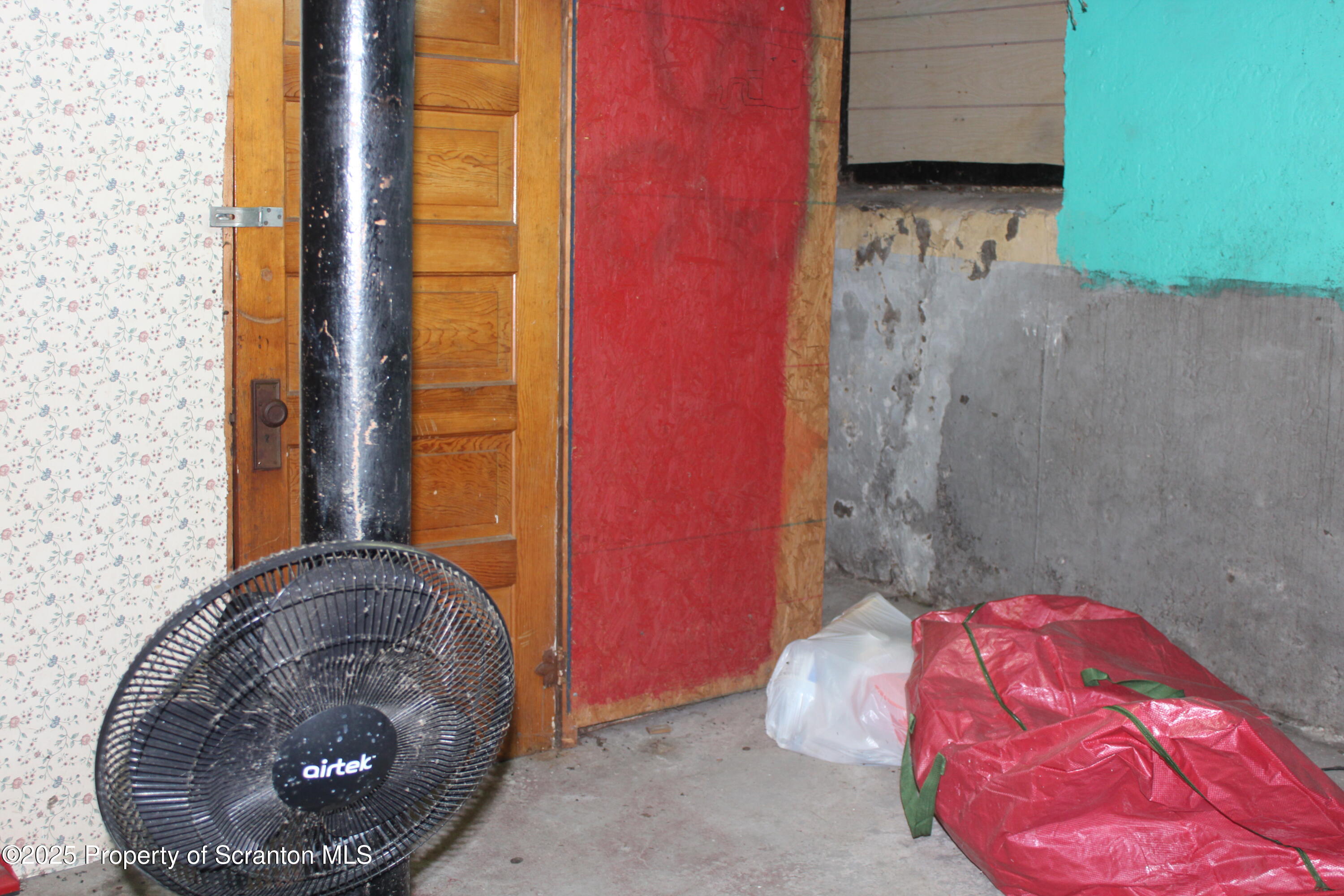 333 Spring Street Scranton, PA 18508 - Photo 39 of 43 a view of a potted plant in front of a door