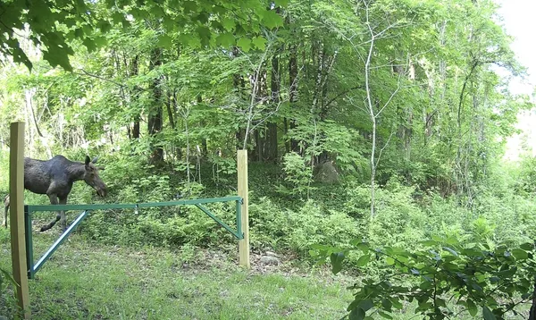 $98,250 | 12-002 West Mills Road, Anson, ME 04911