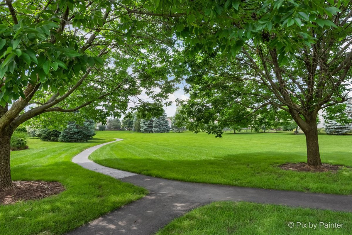 377 Sterling Circle Cary, IL 60013 - Photo 46 of 49