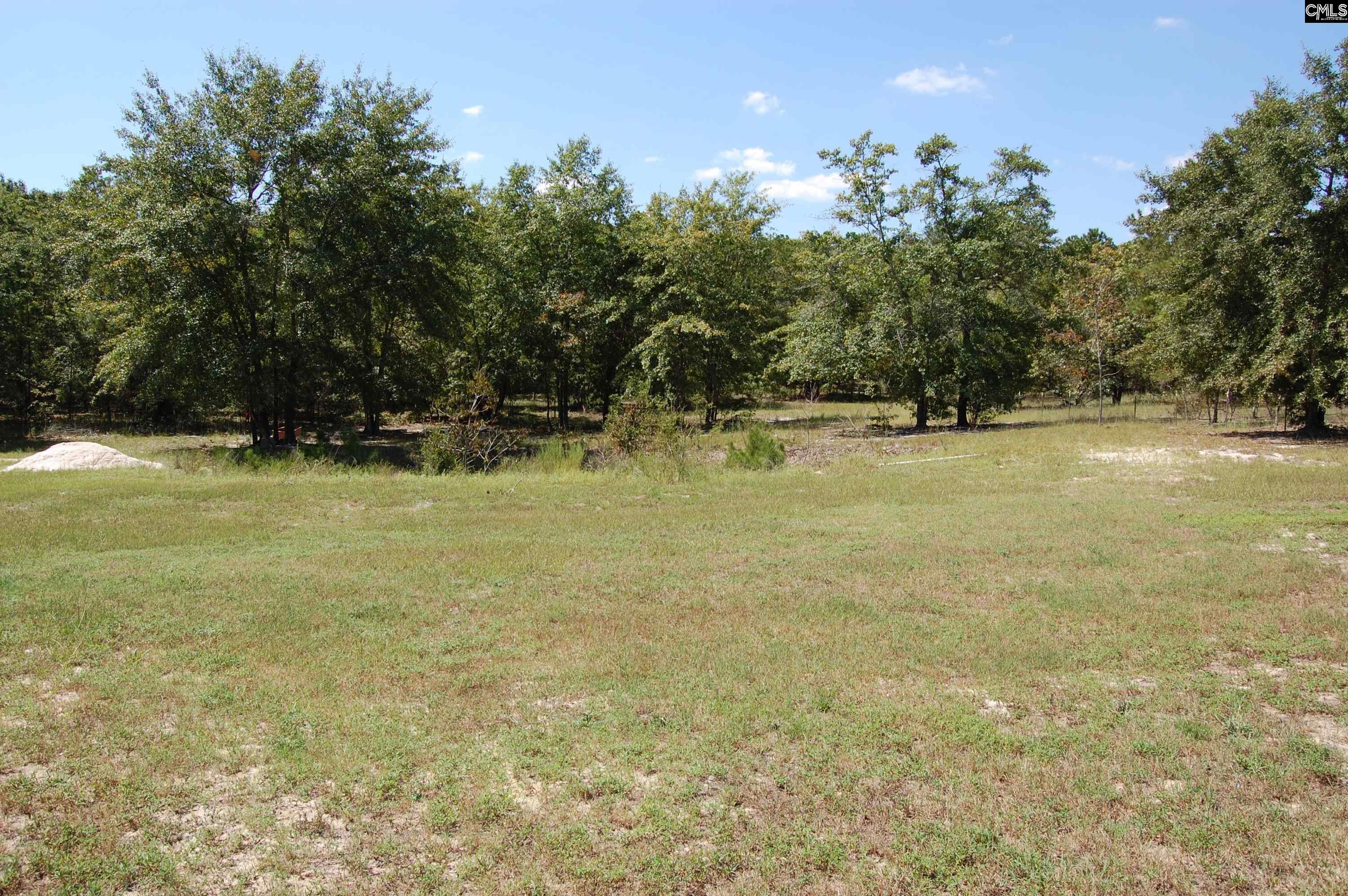 1253 State Rd S-28-90 Camden, SC 29020 - Photo 20 of 24 Gallery Image 20