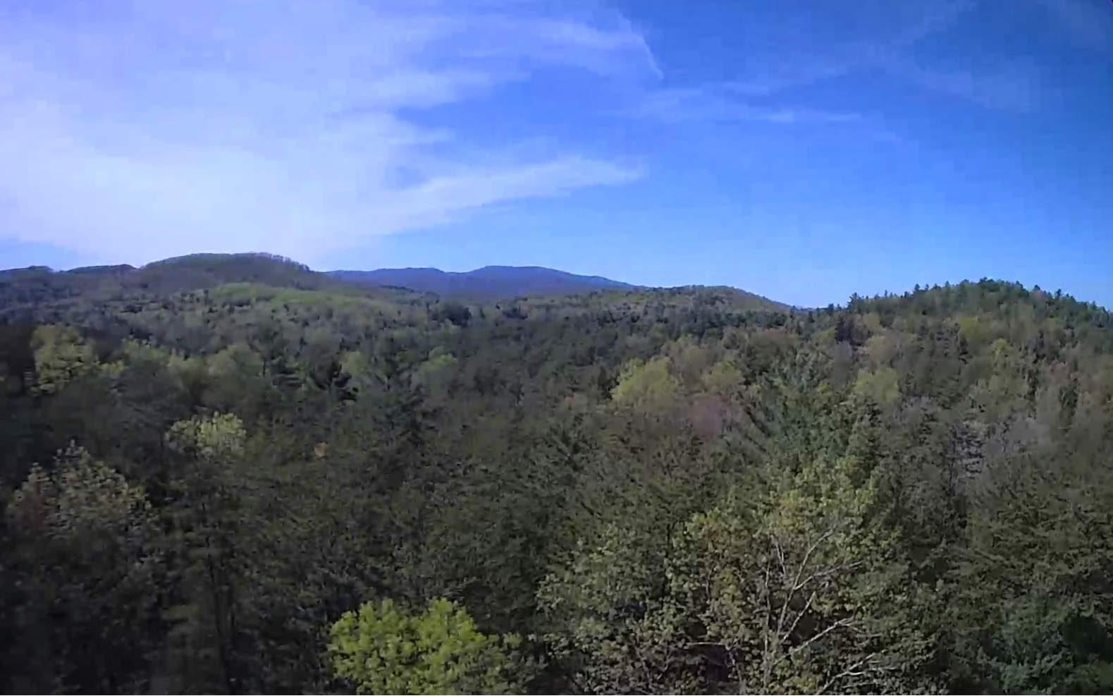 5.5 North Cashes Valley Road Blue Ridge, GA 30513 - Photo 1 of 1 a view of mountains and valleys