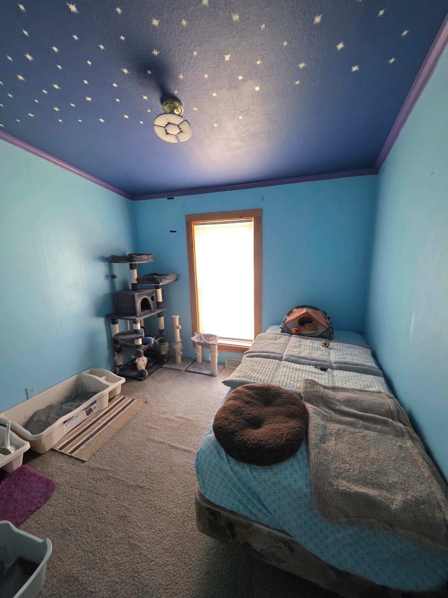 2683 East Spruce Road Spruce, MI 48762 - Photo 22 of 26 Gallery Image 22
