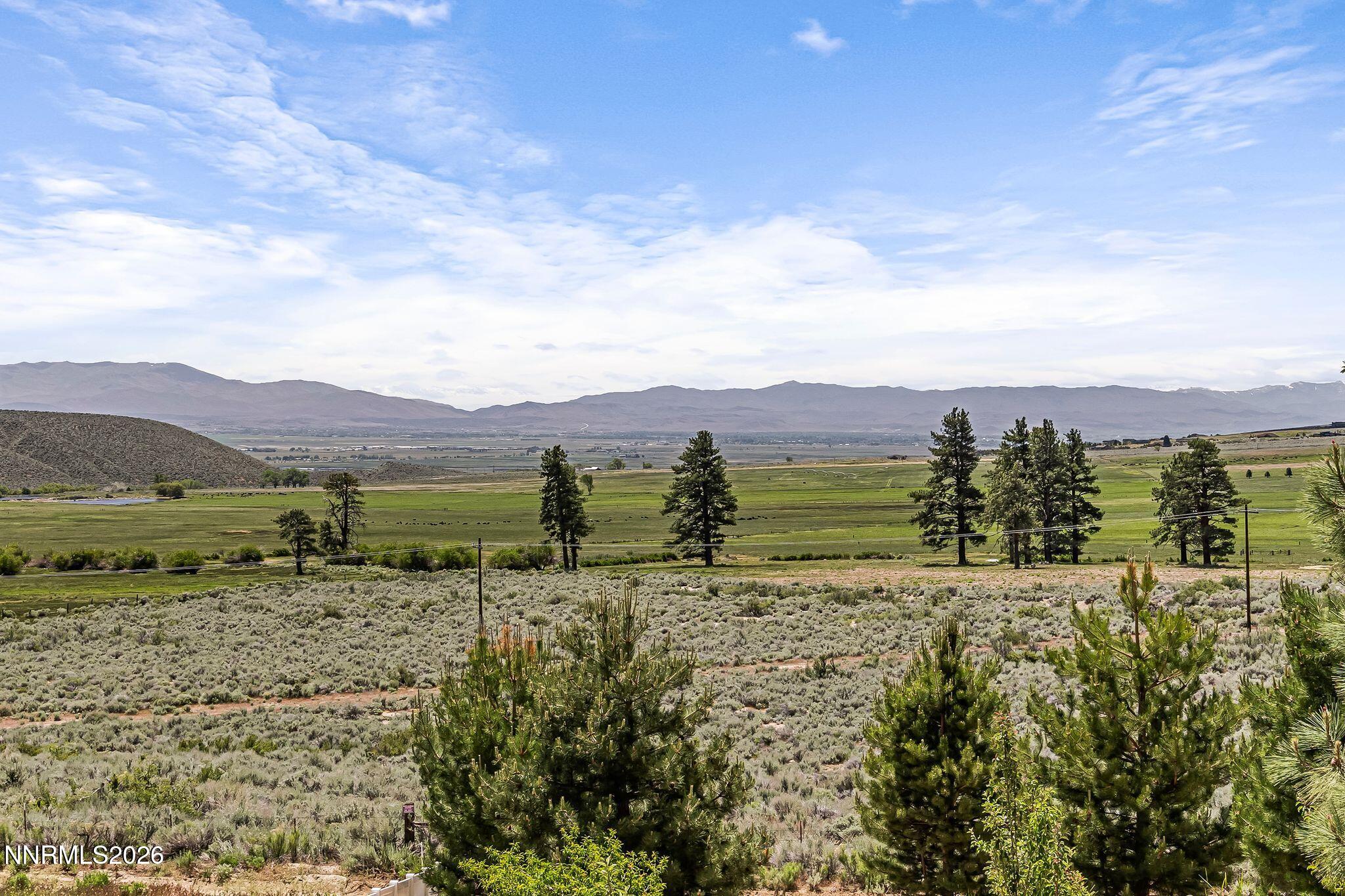 250 Jacks Valley Ranch Road Carson City, NV 89705 - Photo 38 of 44 a view of a lush green field with mountains in the background