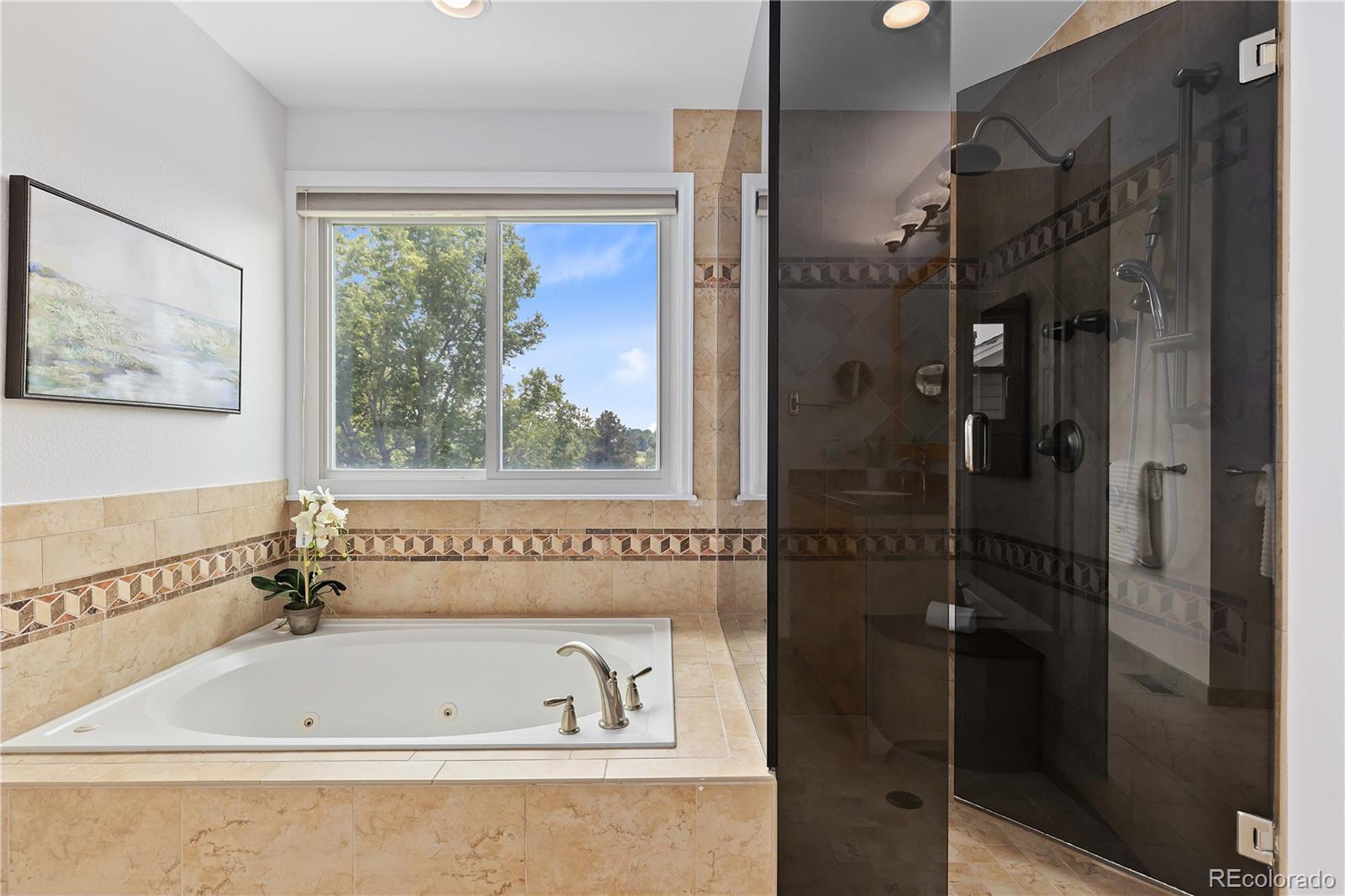 8642 Canongate Lane Highlands Ranch, CO 80130 - Photo 28 of 50