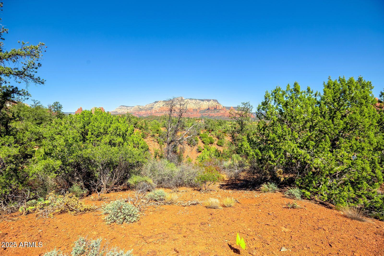 463 Brewer Road Sedona, AZ 86336 - Photo 11 of 22 a view of a yard with a tree