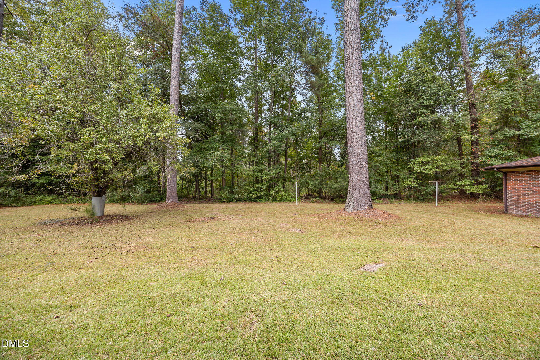 1341 Bear Trap Road Williamston, NC 27892 - Photo 37 of 42 a view of a yard with trees