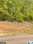 a view of a yard