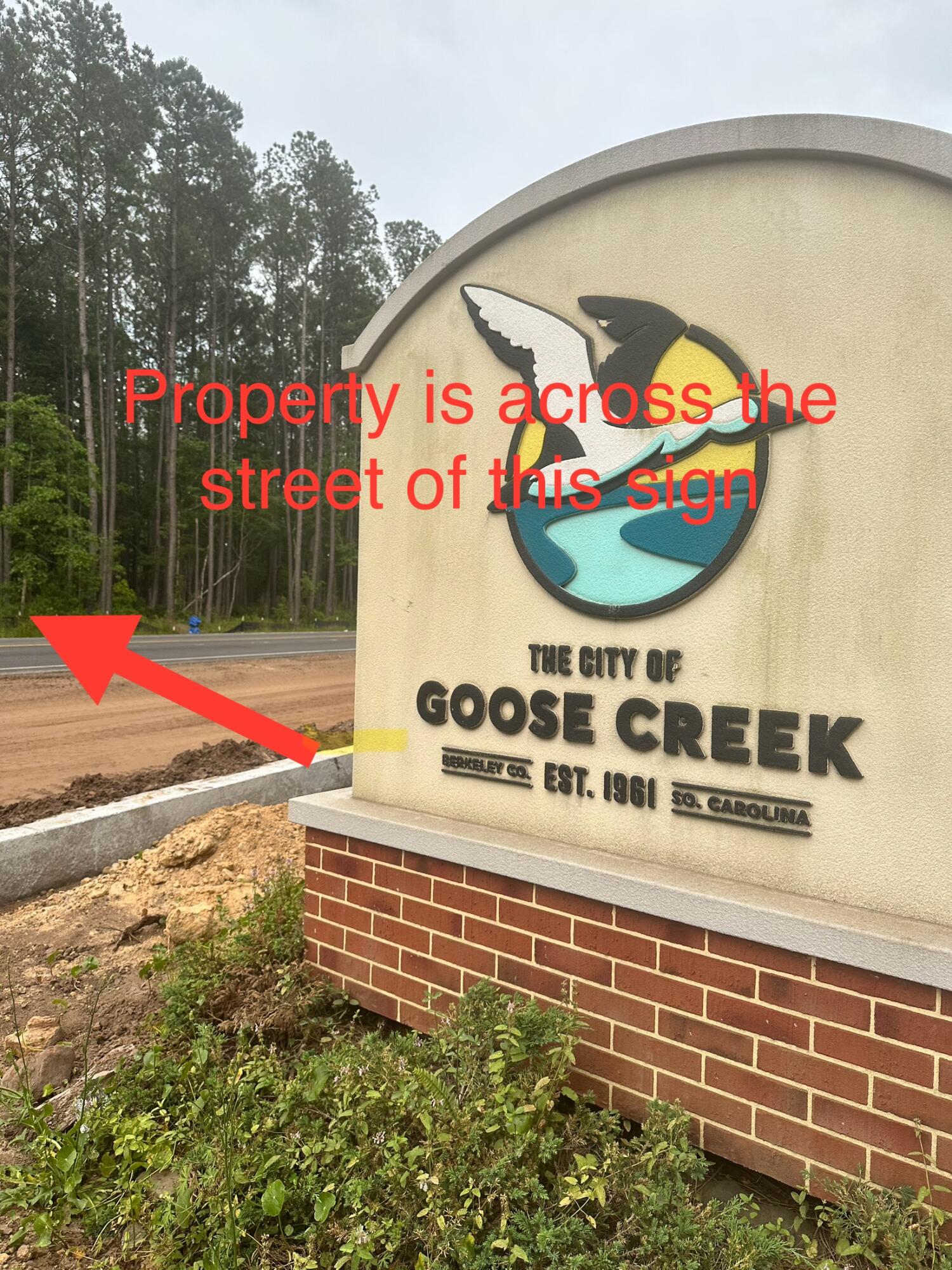 0 Highway 176 Moncks Corner Moncks Corner, SC 29461 - Photo 2 of 4 IMG_7792