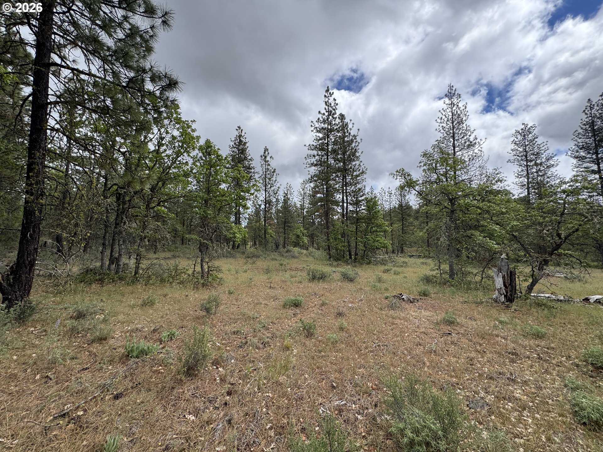Old Mountain Road Goldendale, WA 98620 - Photo 16 of 41