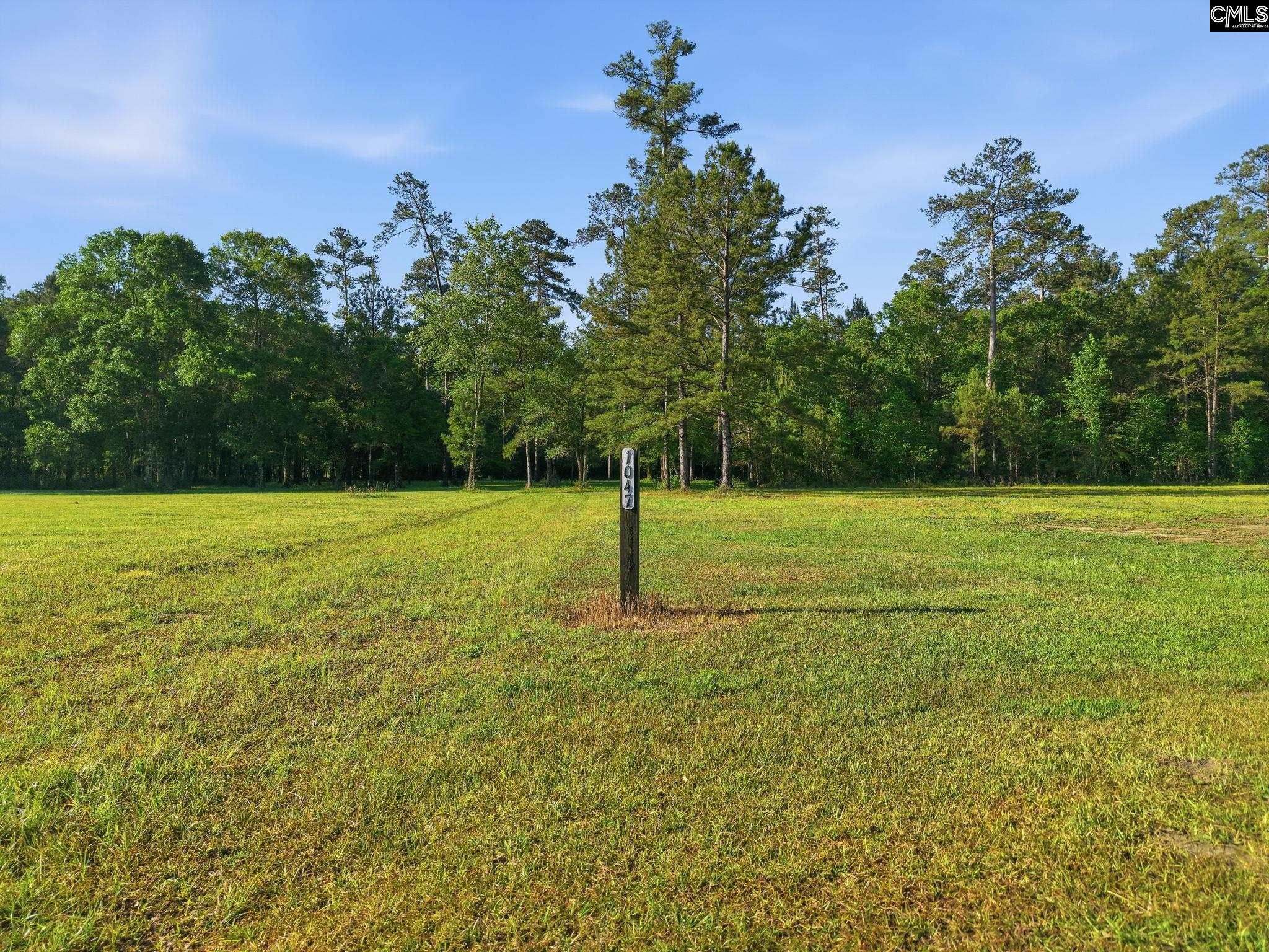 1047 Fortview Road Jamestown, SC 29453 - Photo 16 of 38
