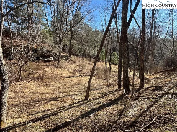 $14,000 | Lot#42 Isabelle Rose Way, Piney Creek, NC 28663