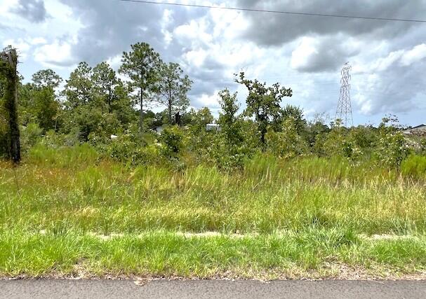 Tbd Penn State Road Weeki Wachee, FL 34614 - Photo 2 of 2 Penn State