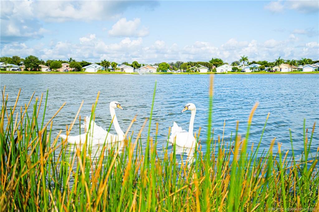 2469 Southwest Omega Way Stuart, FL 34997 - Photo 29 of 33 Gallery Image 29