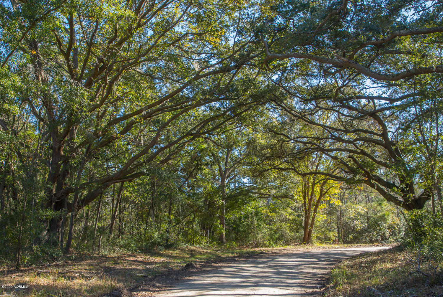 57 Tropicana Road St. Helena Island, SC 29920 - Photo 1 of 13 Road through property 4