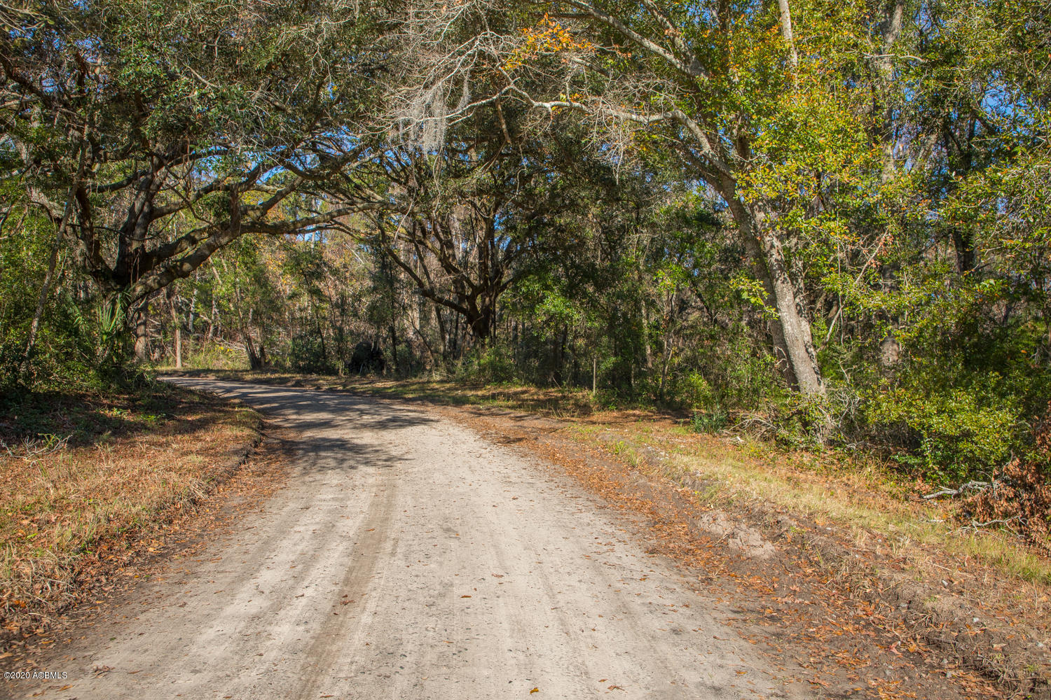 57 Tropicana Road St. Helena Island, SC 29920 - Photo 11 of 13 Road through property 1