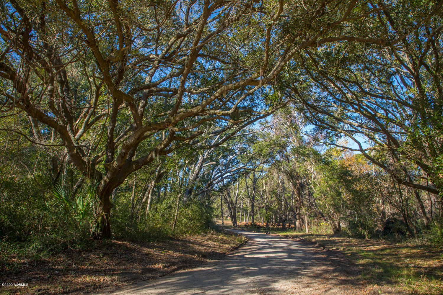 57 Tropicana Road St. Helena Island, SC 29920 - Photo 12 of 13 Road through Property 2