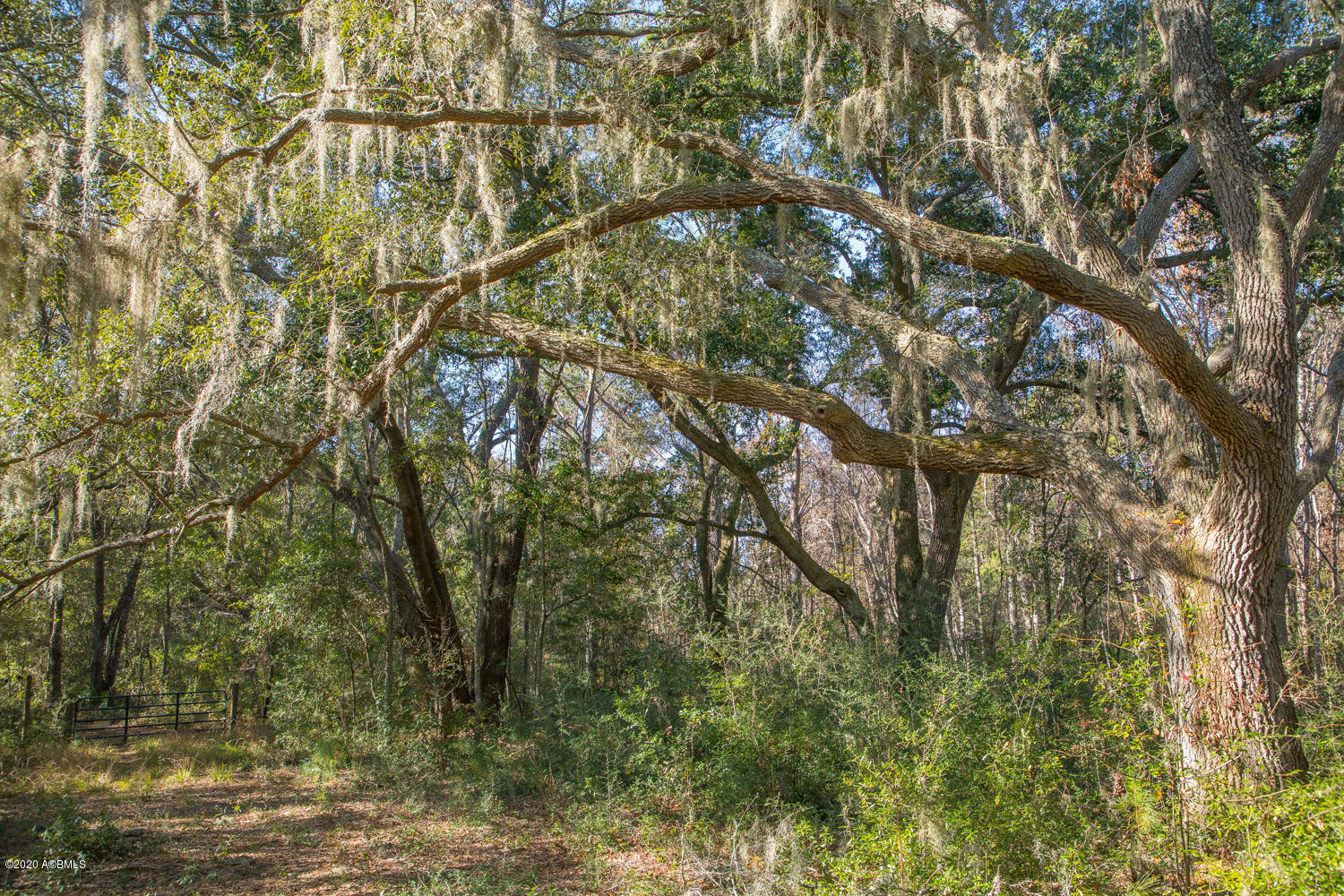 57 Tropicana Road St. Helena Island, SC 29920 - Photo 3 of 13 Oaks - Gate